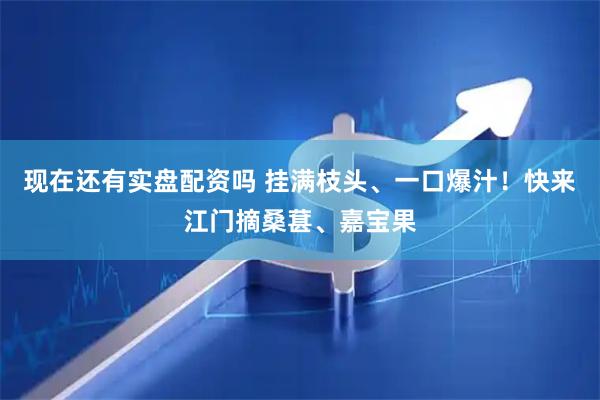 现在还有实盘配资吗 挂满枝头、一口爆汁！快来江门摘桑葚、嘉宝果