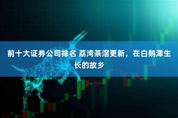 前十大证券公司排名 荔湾茶滘更新，在白鹅潭生长的故乡